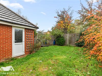Picture 25